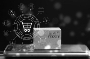 Webportale Webdesign E-Commerce Integration Software Solution