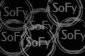 Softwaresolution, Sage, Softwarelösungen, InterCompany und Zusatzmodule