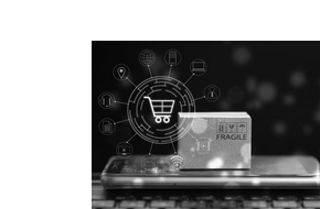 Webportale, E-Commerce, E-Commerce Integration und Webdesign